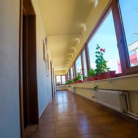 Nova Route 3* Mamaia